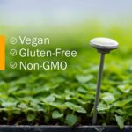 Herb Pharm Kids Mullein and Garlic Oil, 1 Fl Oz, Calendula, Garlic, Mullein, St. John's Wort, Olive Oil - Image 5