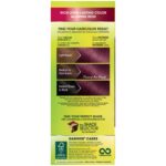 Garnier Hair Color Nutrisse Nourishing Creme, 462 Dark Berry Burgundy (Sugar Beet) Red Permanent Hair Dye, 1 Count (Packaging May Vary) - Image 3