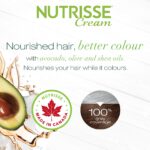 Garnier Nutrisse Nourishing Hair Color Creme, 111 Extra-Light Ash Blonde (White Chocolate) (Packaging May Vary) - Image 3