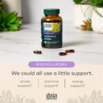 Gaia Herbs Rhodiola Rosea - Stress Support Supplement Traditionally for Supporting Healthy Stamina and Endurance - with Siberian Rhodiola Root Extract - 60 Vegan Liquid Phyto-Capsules (30-Day Supply) - Image 5