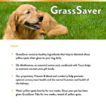 NaturVet ? GrassSaver Supplement for Dogs ? Healthy Supplement to Help Rid Your Lawn of Yellow Spots ? Synergistic Combination of B-Complex Vitamins & Amino Acids ? 500 Tablets - Image 5