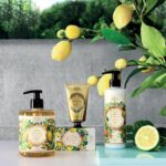 Panier des Sens - Liquid Hand Soap - Provence Hand Wash - French Marseille Moisturizing Hand Soap with Coconut Oil - Refillable Kitchen & Bathroom Hand Soap - 97% Natural Ingredients -16.9 Fl.oz - Image 5