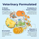 Vetnique Labs Profivex Probiotics for Dogs All Natural Dog Chews & Powder for Digestive Health Probiotic Supplements for Dogs 5 Strains of Probiotics & Prebiotics (Powder, 4.25oz) - Image 4