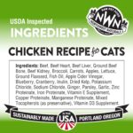 Northwest Naturals Freeze-Dried Chicken Cat Food - Bite-Sized Nibbles - Healthy, Limited Ingredients, Human Grade Pet Food, All Natural - 11 Oz (Packaging May Vary) - Image 3