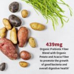 Garden of Life Dr. Formulated - Acidophilus Probiotic Supports Urinary Tract Health Digestive Balance - Gluten Dairy and Soy-Free, 60 Count - Image 4