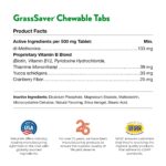 NaturVet ? GrassSaver Supplement for Dogs ? Healthy Supplement to Help Rid Your Lawn of Yellow Spots ? Synergistic Combination of B-Complex Vitamins & Amino Acids ? 500 Tablets - Image 8