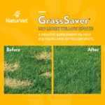 NaturVet ? GrassSaver Supplement for Dogs ? Healthy Supplement to Help Rid Your Lawn of Yellow Spots ? Synergistic Combination of B-Complex Vitamins & Amino Acids ? 500 Tablets - Image 3