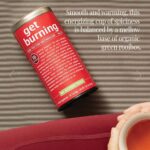 The Republic of Tea Be Active Green Rooibos Tea Get Burning - Herb Tea For Metabolism, 250 Tea Bags - Image 4
