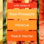 Glade PlugIns Refills Air Freshener Starter Kit, Scented Oil for Home and Bathroom, Hawaiian Breeze, 0.67 Fl Oz, 1 Warmer + 1 Refill - Image 4