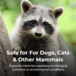 Pet-Ag Bene-Bac Plus - 1 lb Powder - FOS & Probiotics for Dogs, Cats, Exotic & Wildlife Mammals - Image 3