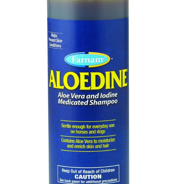 Farnam Medicated Shampoo with Aloe Vera and Iodine | Moisturizing and Gentle | for Horses, Ponies and Dogs | 16 oz