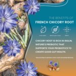 Teeccino Dandelion Caramel Nut Tea - Caffeine Free, Roasted Herbal Tea with Prebiotics, 3x More Herbs than Regular Tea Bags, Gluten Free - 25 Tea Bags - Image 6