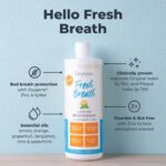 Premium Oxyfresh Lemon Mint Fresh Breath Mouthwash ? Oral Rinse for Bad Breath ? SLS & Fluoride Free Mouthwash ? Alcohol Free, Gentle Non Burning Mouthwash with Xylitol & Essential Oils, 16 oz - Image 2