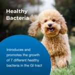 Pet-Ag Bene-Bac Plus - 1 lb Powder - FOS & Probiotics for Dogs, Cats, Exotic & Wildlife Mammals - Image 6