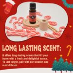 Eternal Essence Oils Holiday Fragrance Oil Gift Set - 6 Long Lasting Scents in 10mL Glass Bottles - Oils for Diffusers, Soap & Candle Making, Aromatherapy - Includes Candy Cane, Pumpkin Patch, & More - Image 3