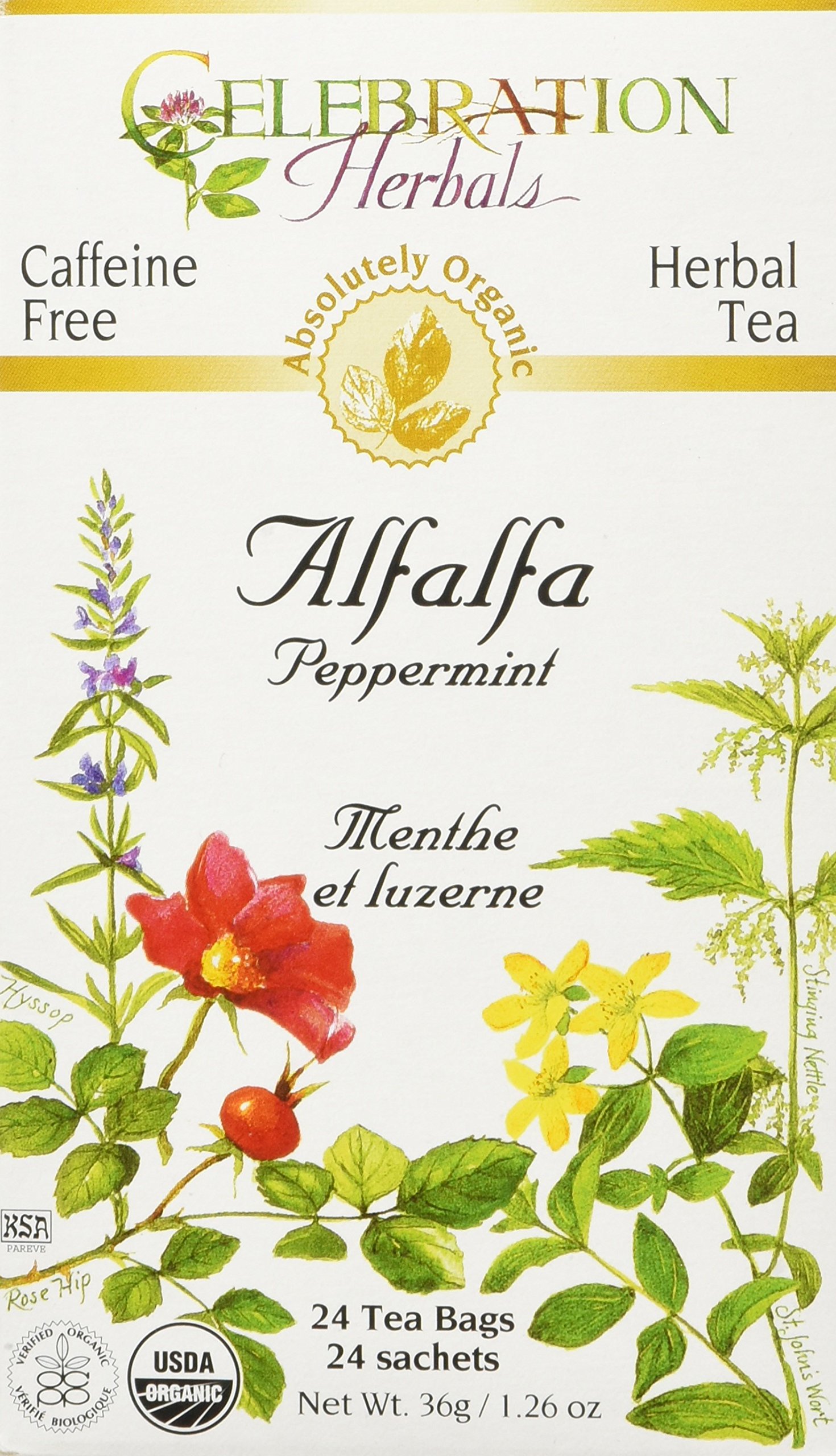 91V0-FJVDeL.jpg Celebration Herbals Alfalfa Peppermint 24 Count - Image 1