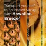 Glade PlugIns Refills Air Freshener Starter Kit, Scented Oil for Home and Bathroom, Hawaiian Breeze, 0.67 Fl Oz, 1 Warmer + 1 Refill - Image 3