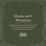 Gaia Herbs Adrenal Health Daily Support - with Ashwagandha, Holy Basil & Schisandra - Herbal Supplement to Help Maintain Healthy Energy and Stress Levels - 120 Liquid Phyto-Capsules (120 Count) - Image 6